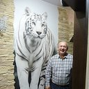 ���� ������, �����, 59 ��� - ��������� 16 �������� 2025 � ������ ���� ����������