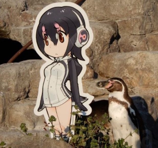  -  ,          Kemono ... - 2