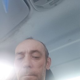 ����, 41 ���, ����