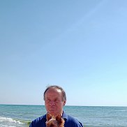 �������� ��������, 64 ����, �����������