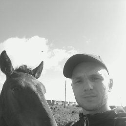 �������, 27 ���, ����