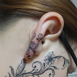 ���� ������, �����, 40 ��� - ��������� 15 ������� 2026