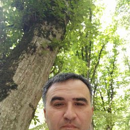 , 41, 