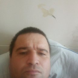 , 33 , 