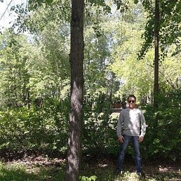 �����, ������, 62 ����