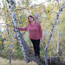 , 41, 