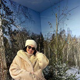 ���� �������, ������, 64 ���� - ��������� 14 ������ 2026