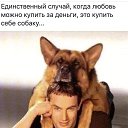 ���� �������, ���������, 80 ��� - ��������� 13 ���� 2026 � ������ ������ ��������