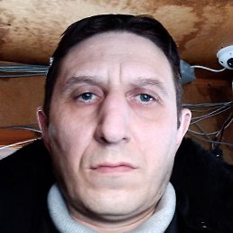 ����, �����-���������, 44 ����