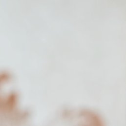 �������, �����, 42 ����