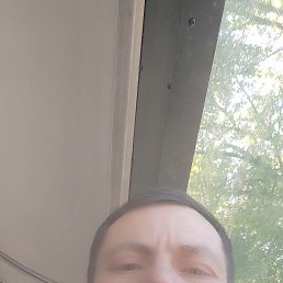 , 41 , -