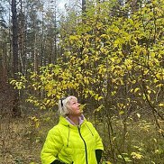 , 55 , 