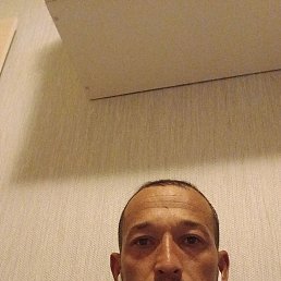 , 37, 