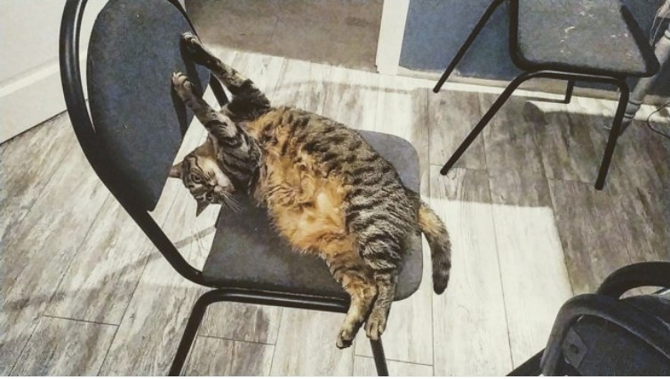    ,  ,        ,  ...