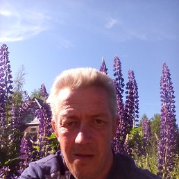 , 51 , -