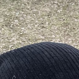 �������, ������, 33 ����