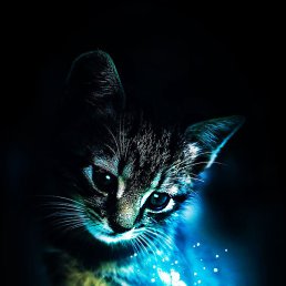 No Name, �����-���������, 25 ���