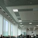 ���� �����, ������, 49 ��� - ��������� 11 ���� 2026 � ������ ���� ����������