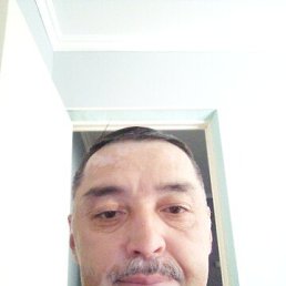 , 51, 
