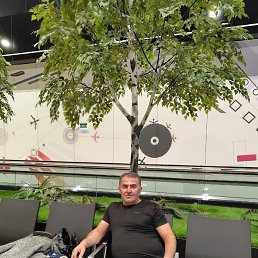 �����, 49 ���, ������