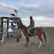 ������, 36 ���, ��������