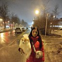���� �������, ��������, 38 ��� - ��������� 20 ��� 2026 � ������ ���� ����������
