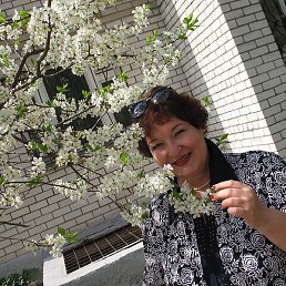 ������, �������, 71 ���