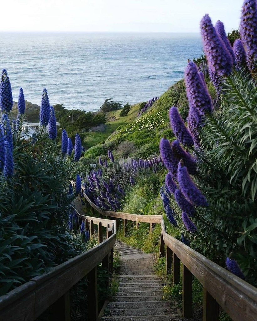 Как красиво - 4