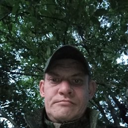 , 33, 