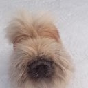 ���� ���������, ��������, 31 ��� - ��������� 23 ������� 2023