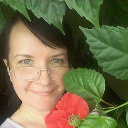 , 54, 