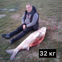 ������ �������, �����������, 96 ���