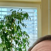 ����, 50 ���, �����