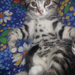 ���� Vadim, �����, 40 ��� - ��������� 24 ������� 2023