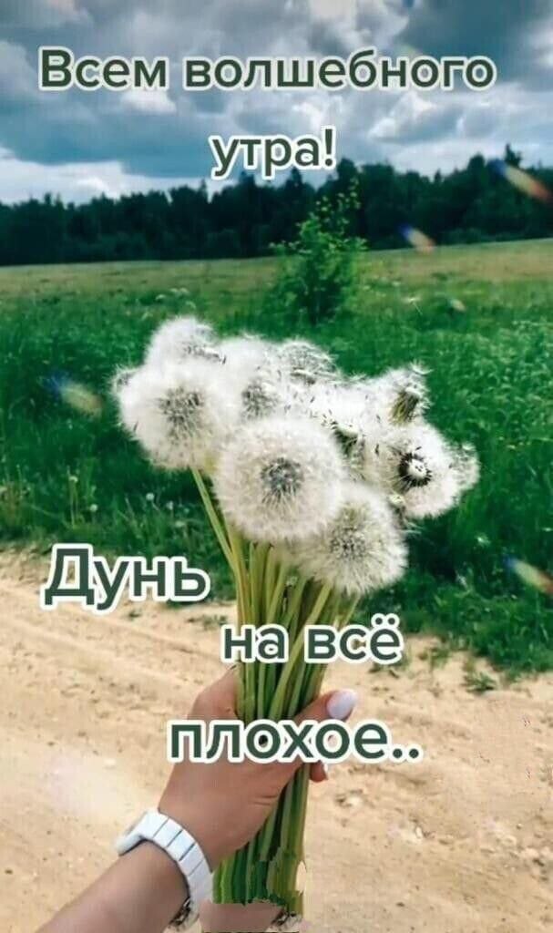   ! - 11  2025  05:34