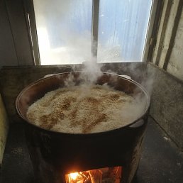 �����, ���������, 42 ����