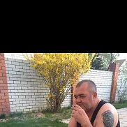 ������, 55 ���, ���������