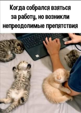   - 1  2024  14:10