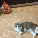 ���� �������, ������������, 51 ��� - ��������� 9 ������� 2024 � ������ ������������