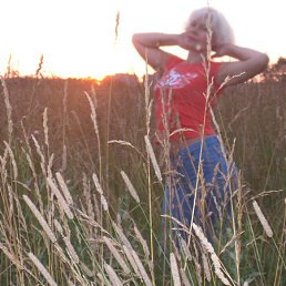 ���� ������, ������� ��������, 54 ���� - ��������� 3 ������� 2026