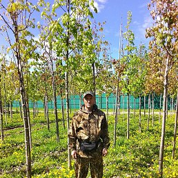 ������, ��������, 67 ���