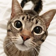 ��������, 19 ���, ������