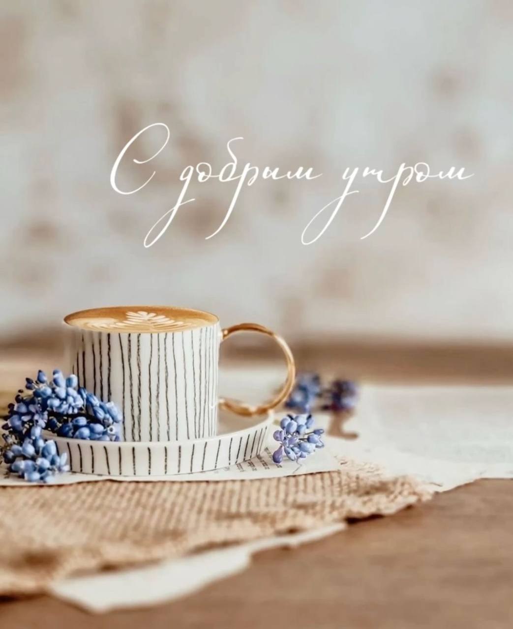 ***Victoria Viktorovna*** - 16  2025  02:34