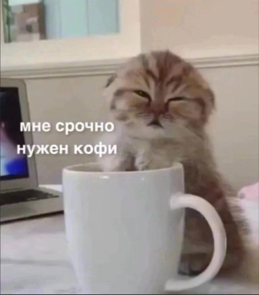      ,   - 5