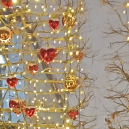 ��������, ������, 53 ����