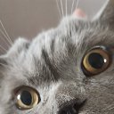 ���� Alex, ������-��-����, 56 ��� - ��������� 16 ������ 2025 � ������ ������ ��������