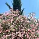 ���� ������, ������, 48 ��� - ��������� 31 ������ 2026 � ������ ���� ����������