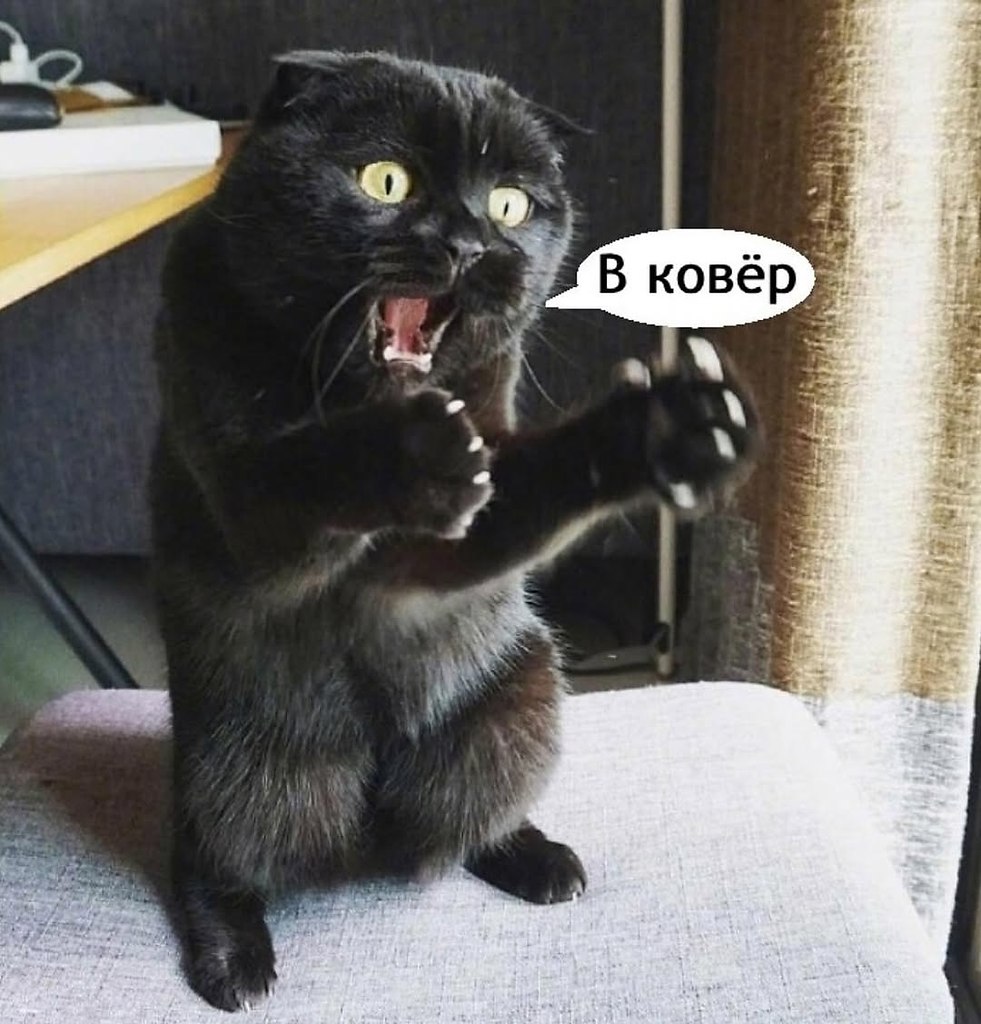� ����... - 13 ������ 2025 � 12:17 - 5