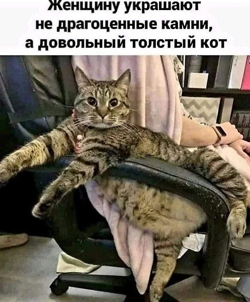   !