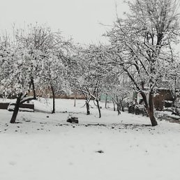 ���� �����, ������, 35 ��� - ��������� 1 ����� 2024